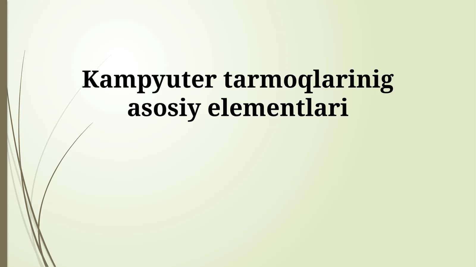 Kompyuter Tarmoqlarining Asosiy Elementlari