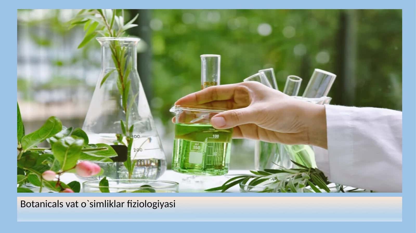 Botanicals vat o`simliklar fiziologiyasi