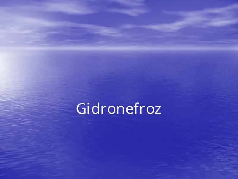Gidronefroz