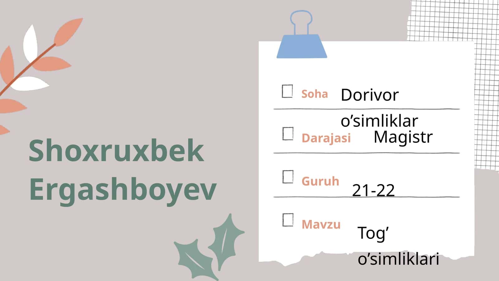 Tog’mintaqasi O’simliklari