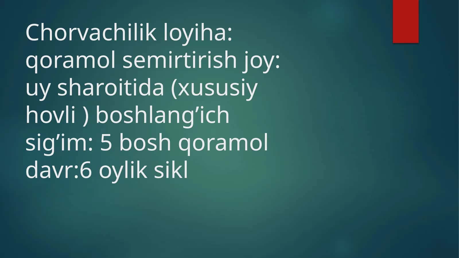 Chorvachilik loyiha