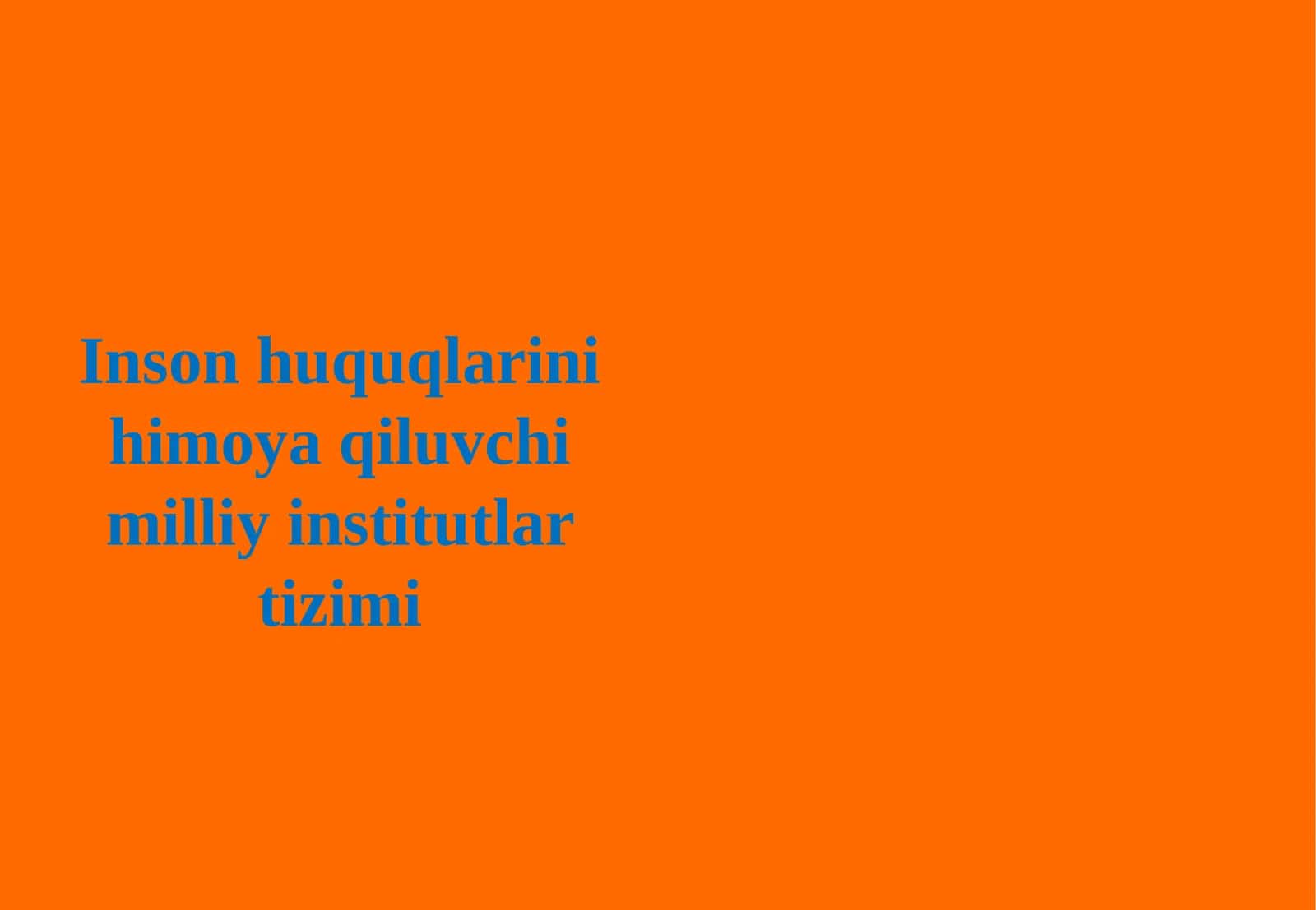 Inson huquqlarini himoya qiluvchi milliy institutlar tizimi