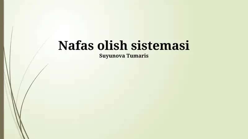 Nafas olish sistemasi