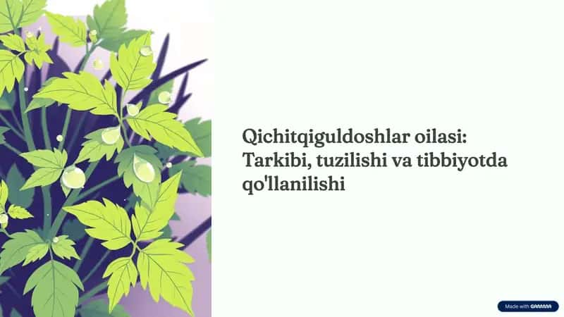 qichitqigullilar oilasi tarkibi tuzilishi va vazifalari haqida.