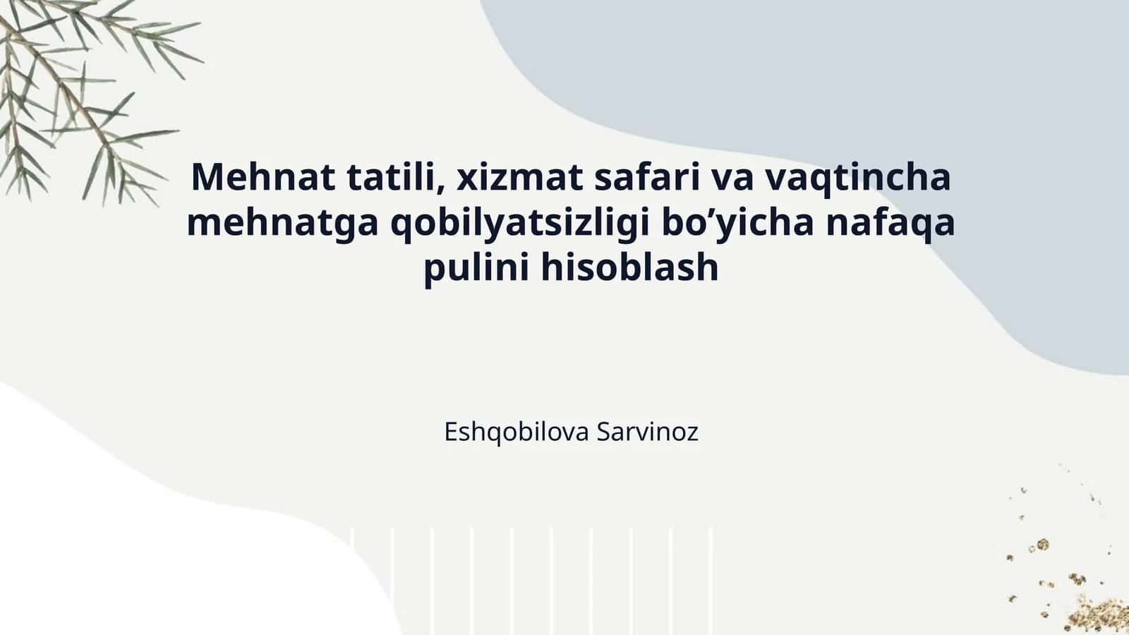 Mehnat tatili, xizmat safari va vaqtincha mehnatga qobilyatsizligi bo’yicha nafaqa pulini hisoblash