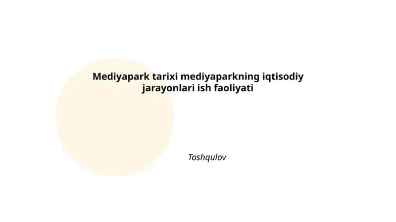 Mediayapark tarixi mediyaparkning iqtisodiy jarayonlari ish faoliyati