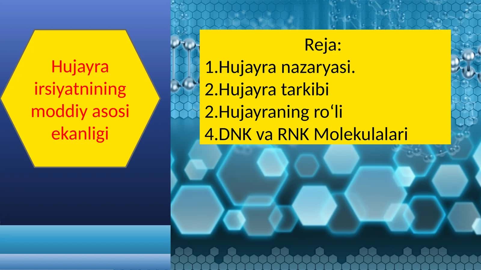 Hujayra nazaryasi