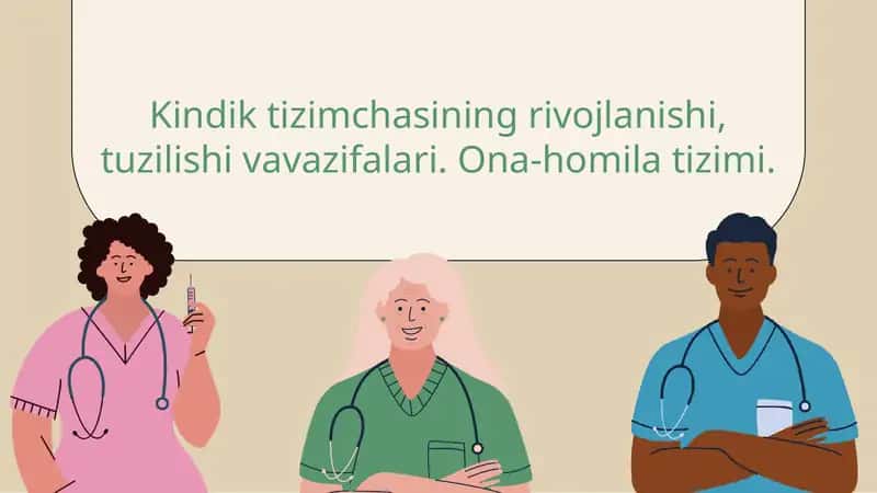 Kindik tizimchasining rivojlanishi, tuzilishi vavazifalari. Ona-homila tizimi.