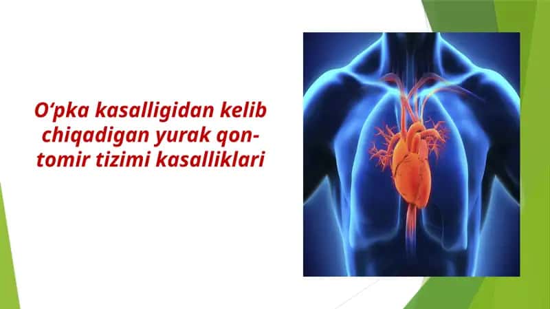 O‘pka kasalliklari va ularning yurak faoliyatiga ta’siri