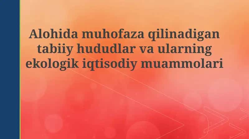 Maxsus muhofaza qilinadigan tabiiy hududlar va ularning ekologik-iqtisodiy muammolari