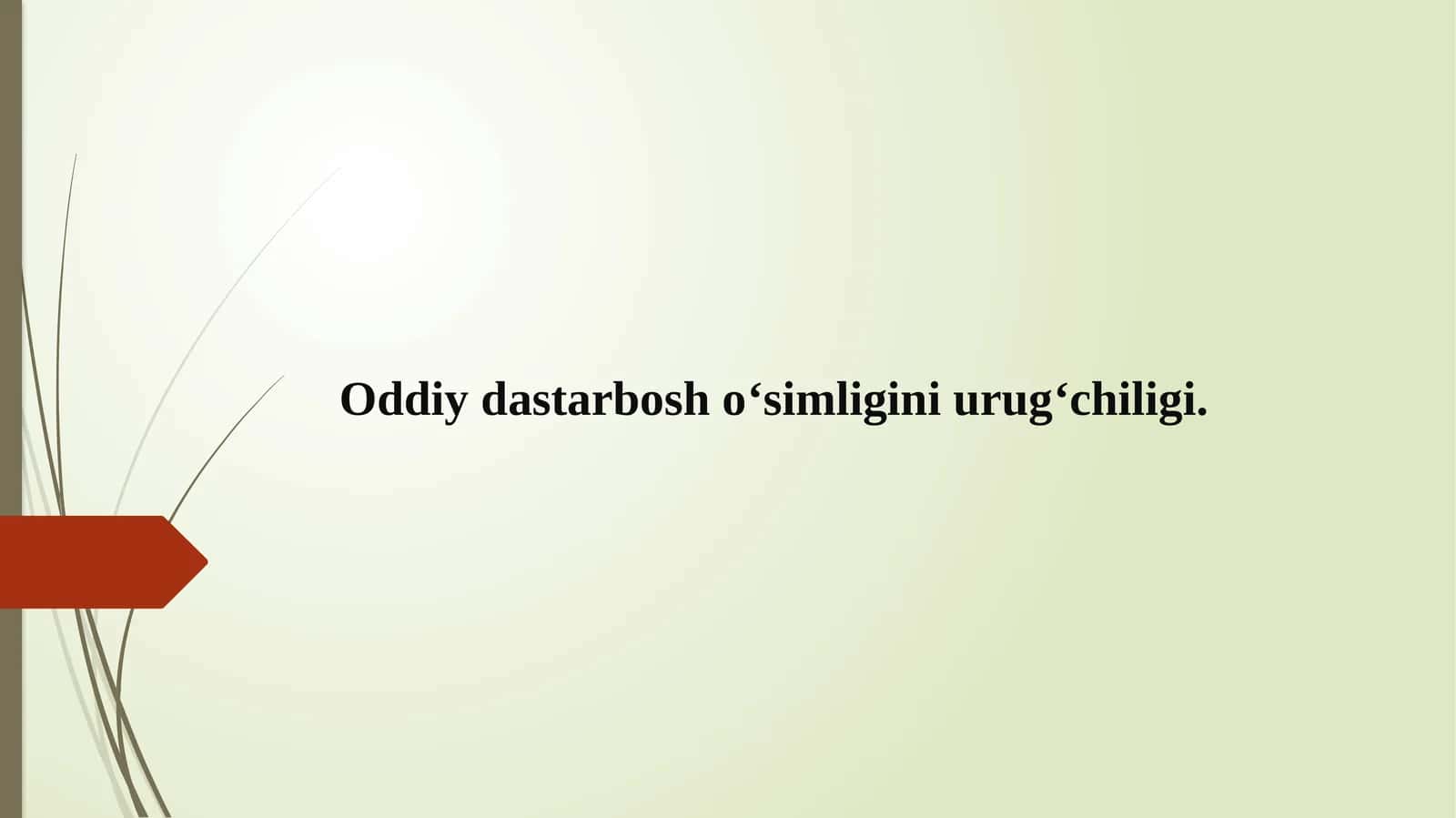 Oddiy dastarbosh o‘simligi