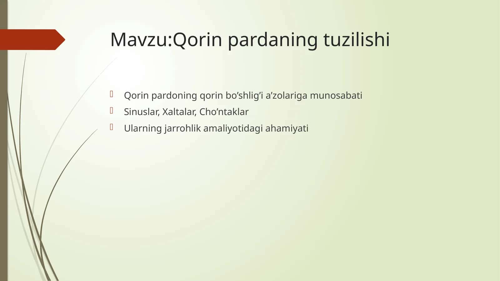 Qorinpardaning tuzilishi