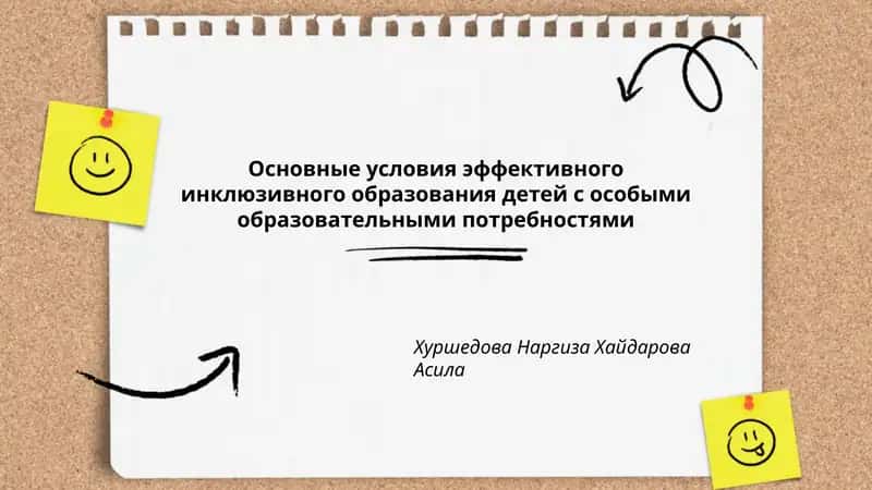 Основные условия эффективного инклюзивного образования детей с особыми образовательными потребностями