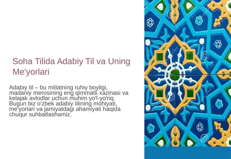 Soha Tilida Adabiy Til va Uning Me'yorlari