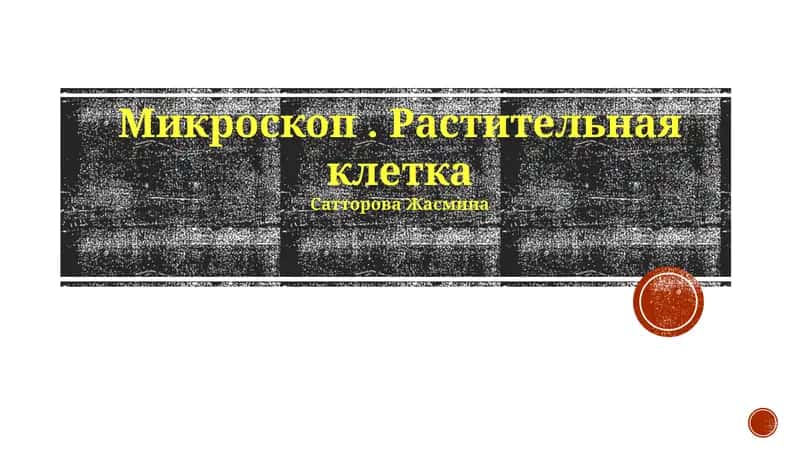 Растительная клетка