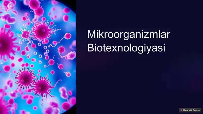 Mikroorganizmlar Biotexnologiyasi