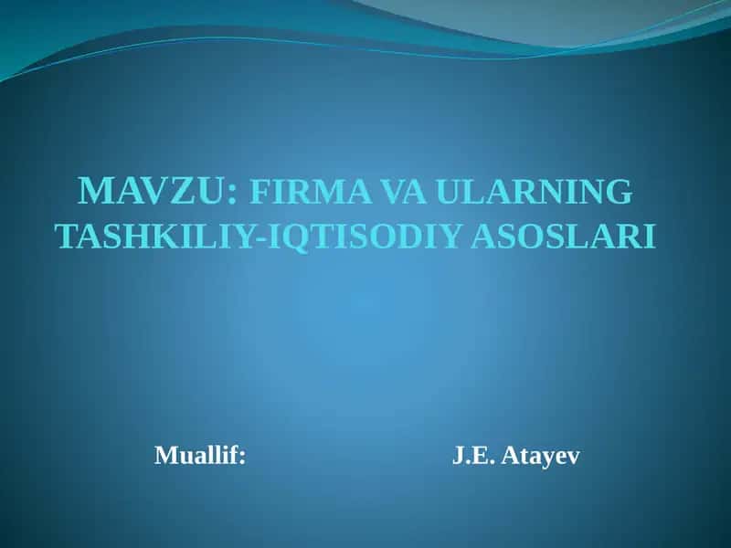 Firma va ularning tashkiliy-iqtisodiy asoslari
