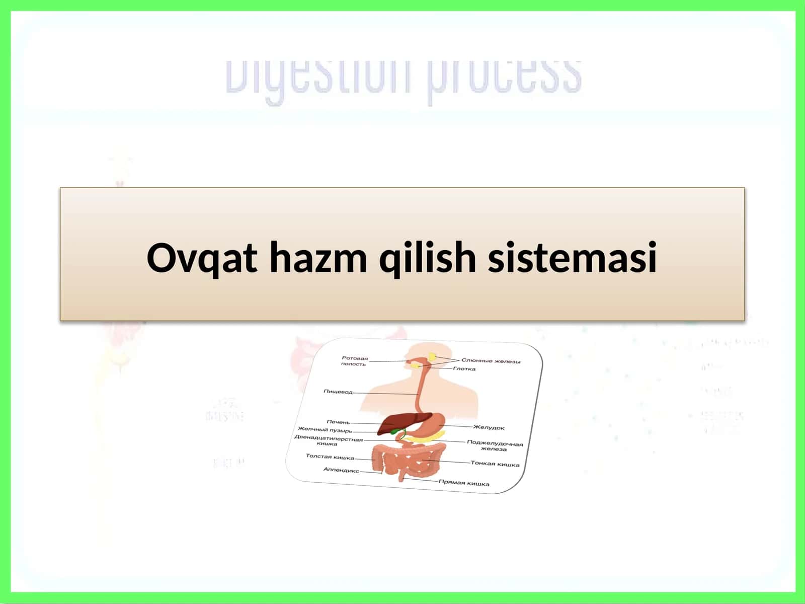 Ovqat hazm qilish tizimi