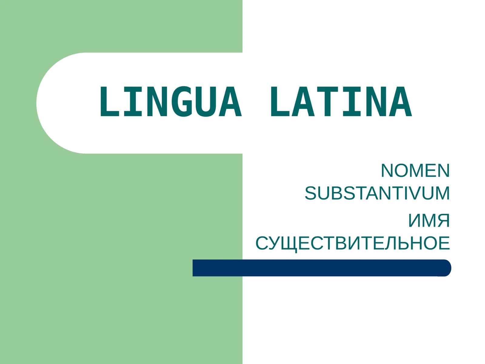 ИМЯ СУЩЕСТВИТЕЛЬНОЕ
