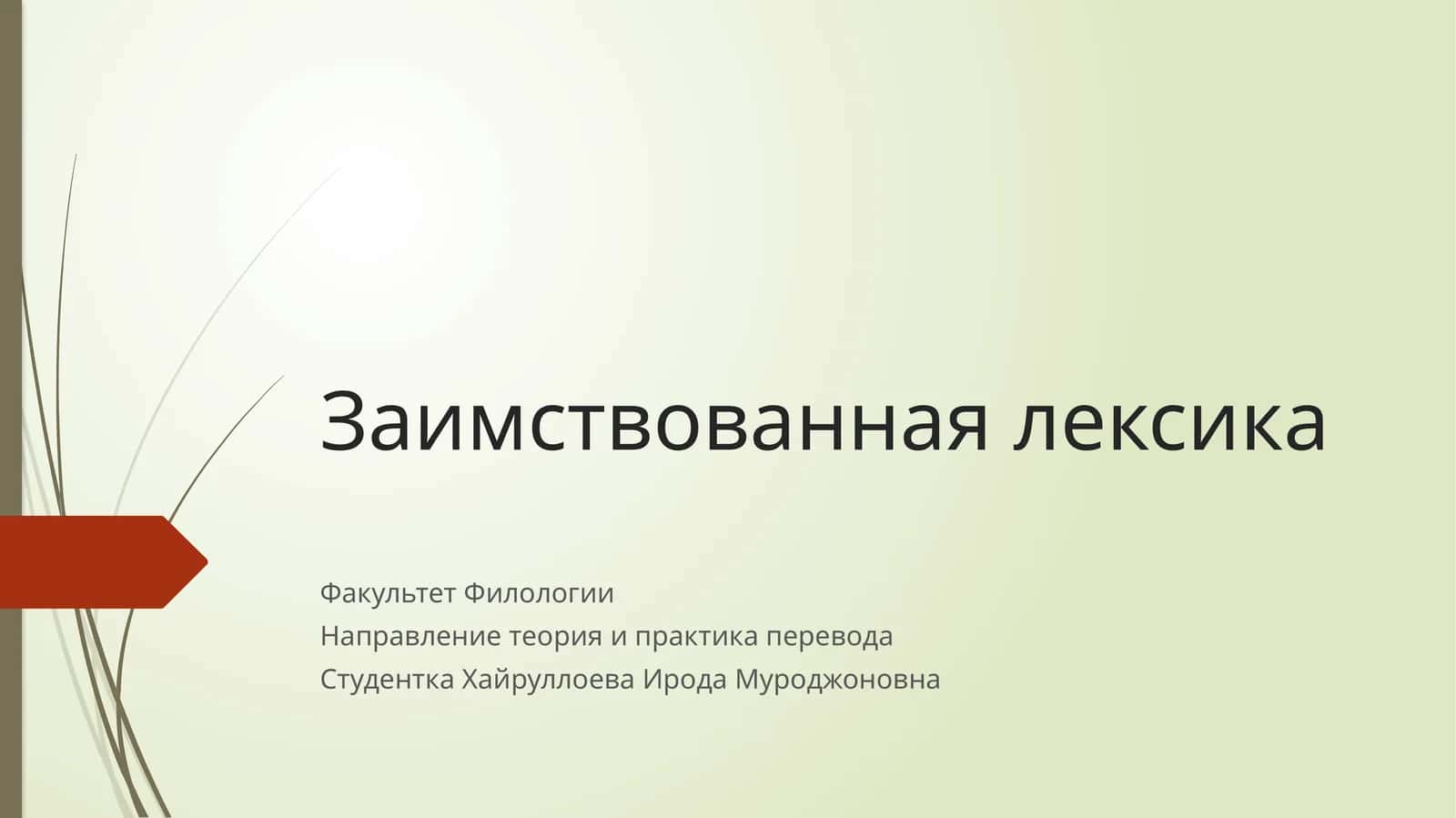 Заимствованная лексика