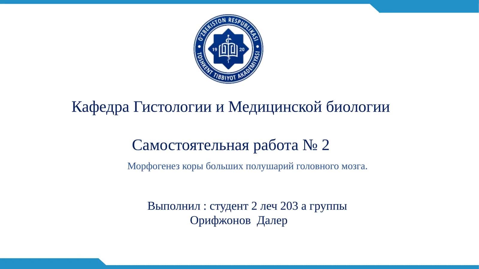 Кора больших полушарий головного мозга