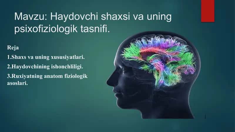 Haydovchi shaxsi va uning psixofiziologik tasnifi