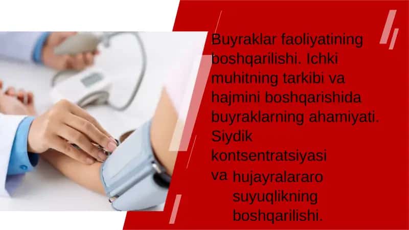 Buyraklar faoliyatining boshqarilishi