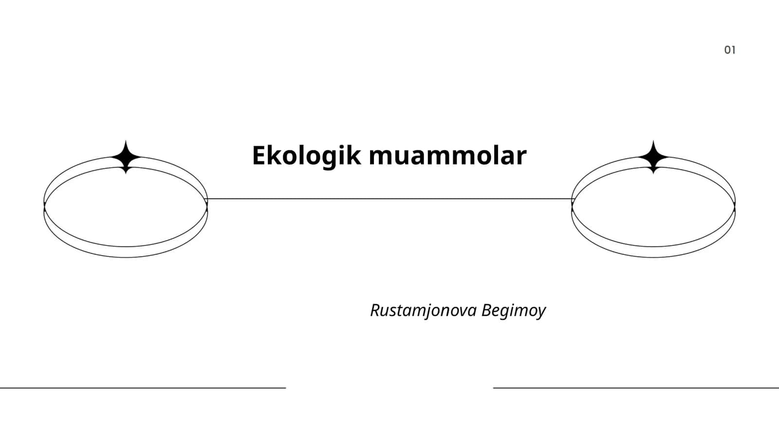Ekologik muammolar