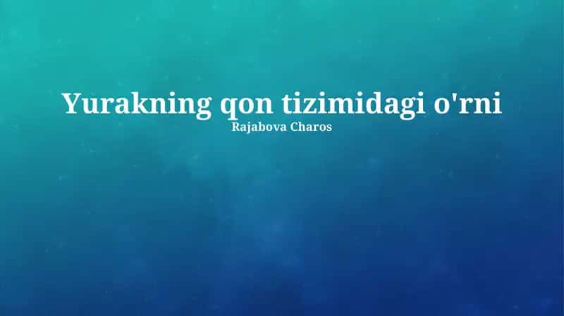 Yurakning qon tizimidagi o'rni