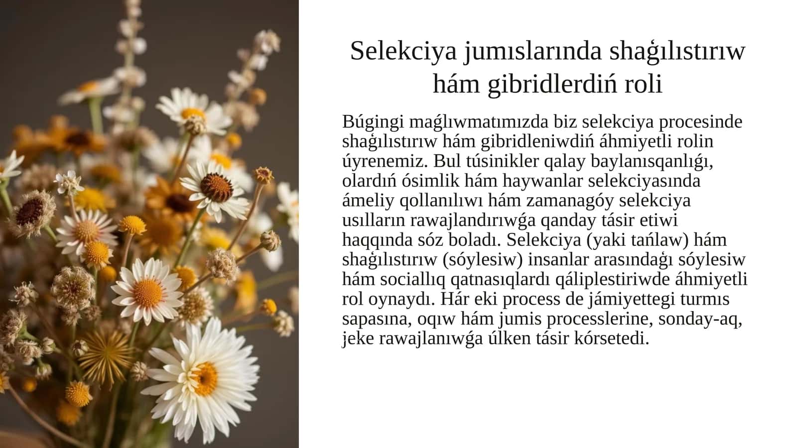 Selekciya jumıslarında shaģılıstırıw hám gibridlerdiń roli