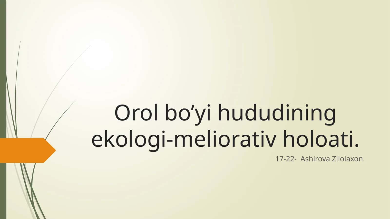 Orol bo’yi hududining ekologi-meliorativ holoati