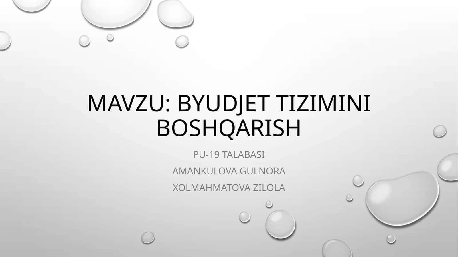Byudjet tizimini boshqarish