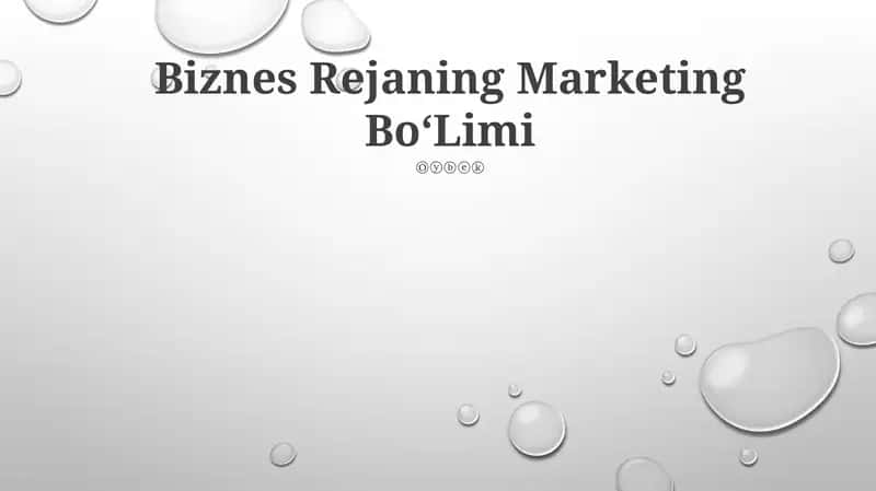 Biznes Rejaning Marketing Bo‘Limi
