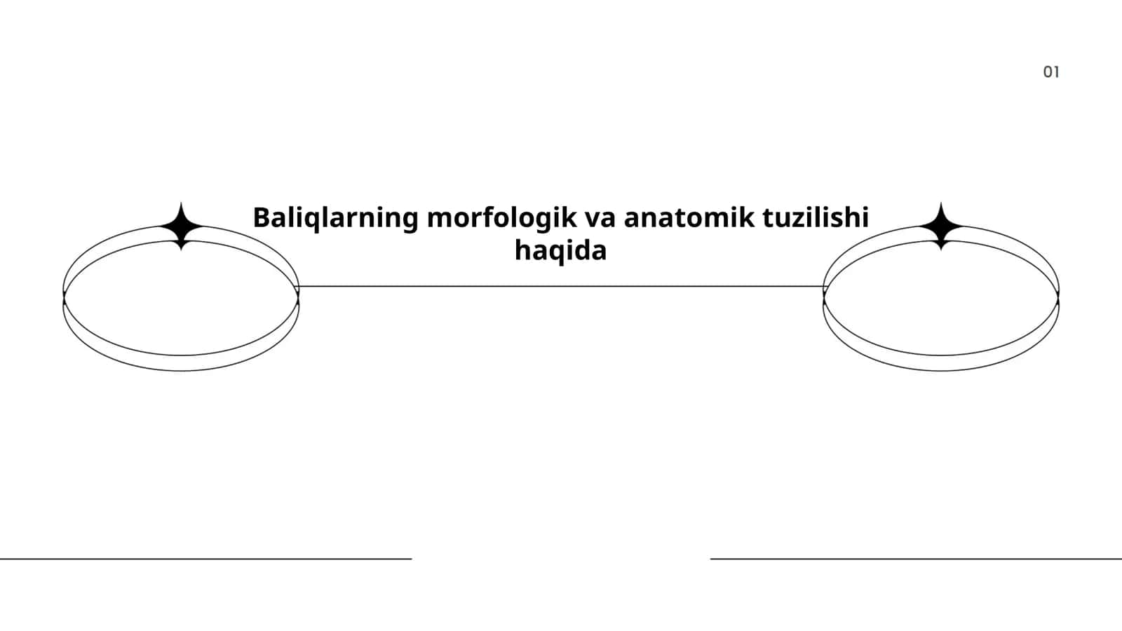 Baliqlarning morfologik va anatomik tuzilishi haqida