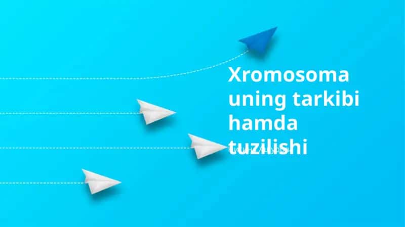 Xromosoma uning tarkibi hamda tuzilishi