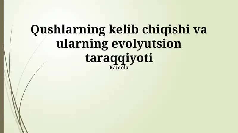 Parvozning evolyutsiyasi