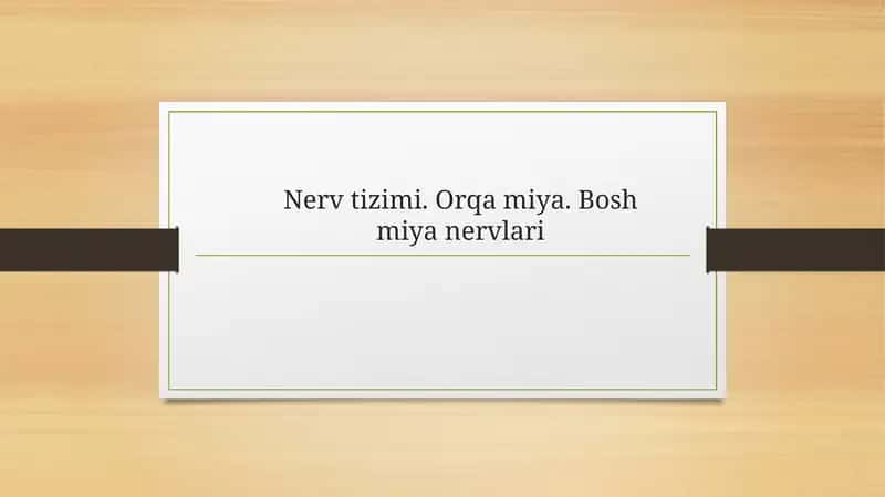 Nerv Tizimi: Orqa Miyan