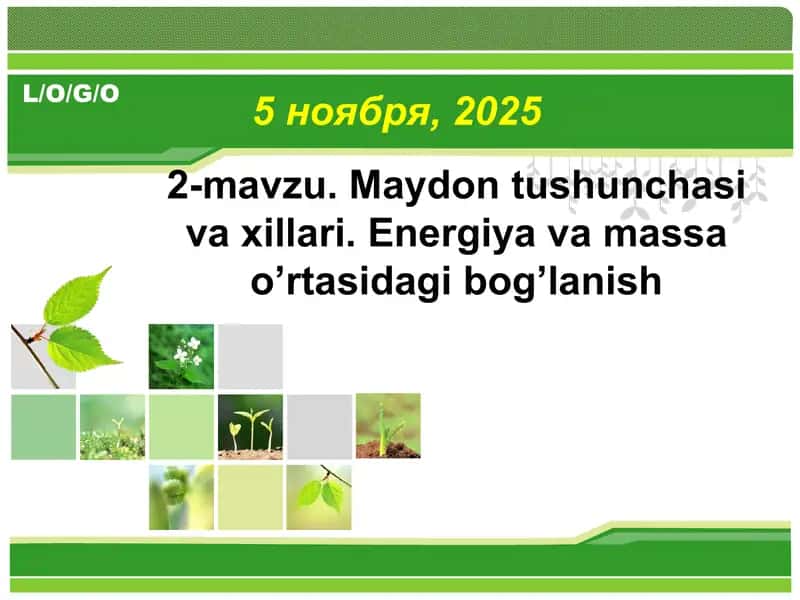 Maydon tushunchasi va xillari. Energiya va massa o’rtasidagi bog’lanish