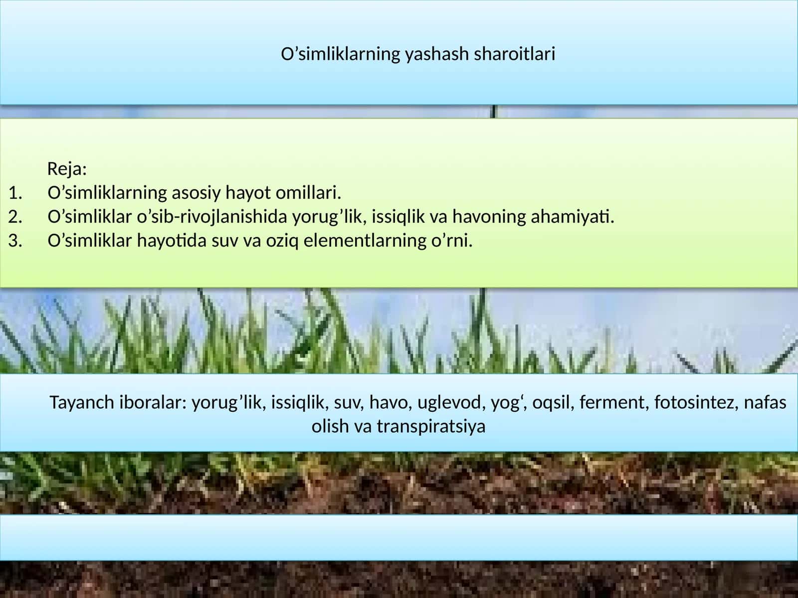 O’simliklarning yashash sharoitlari