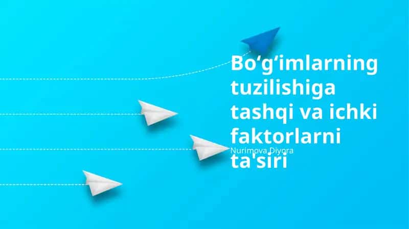 Bo'g'imlar tuzilishiga tashqi va ichki faktorlarni ta'siri