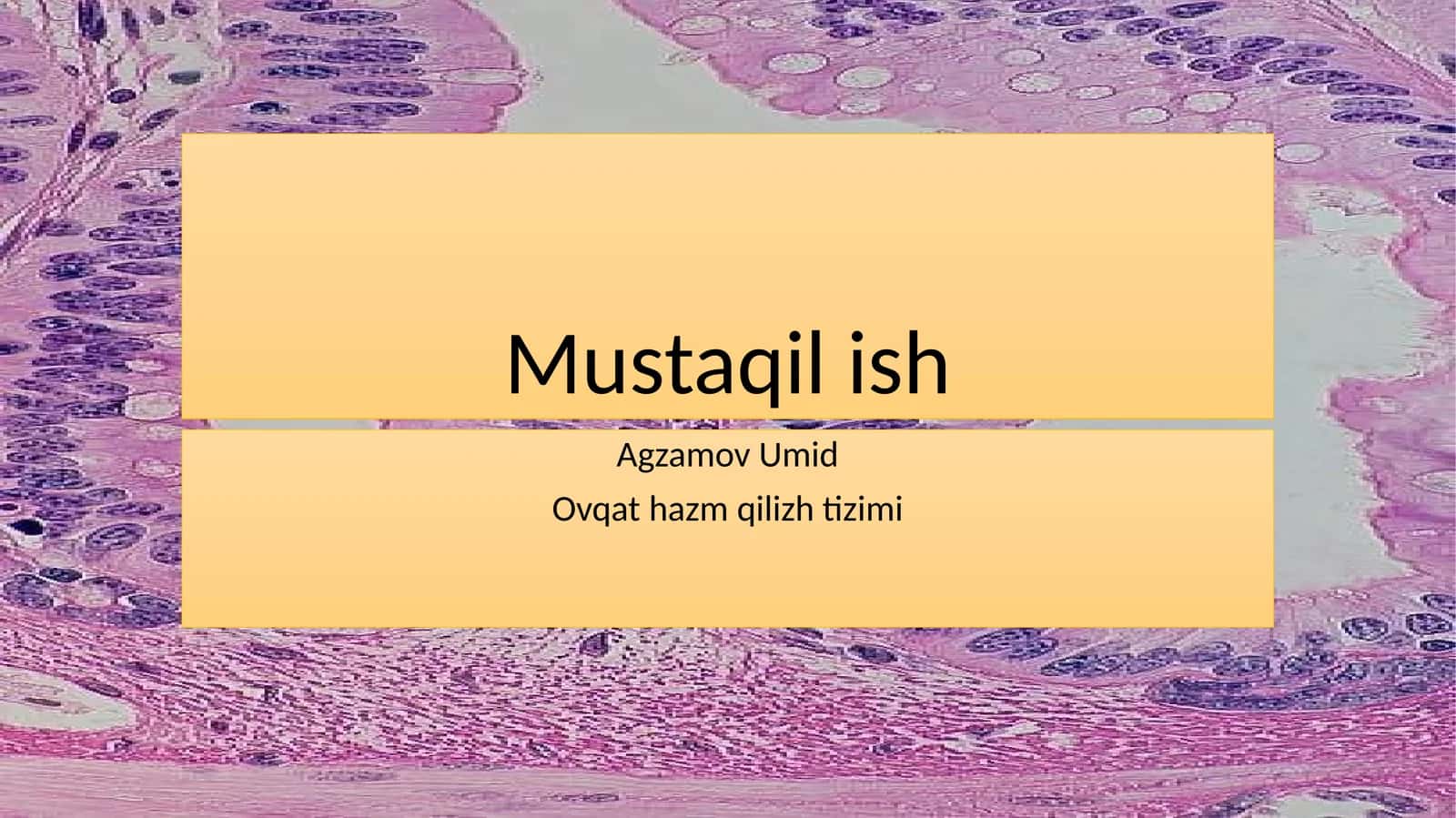 Ovqathazm qilish tizimi