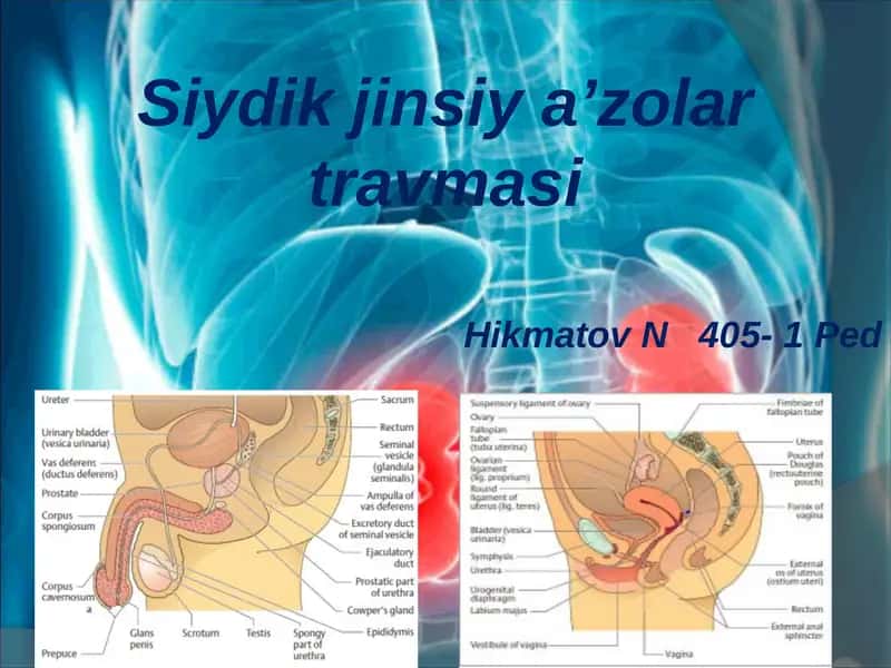 Siydik jinsiy a’zolar travmasi
