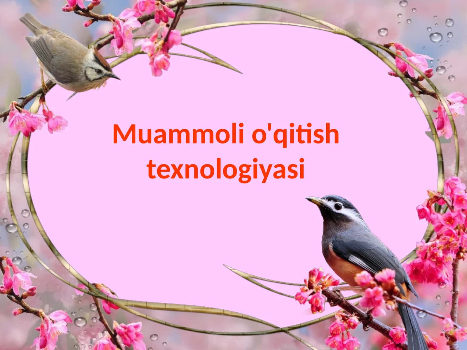 Muammoli o'qitish texnologiyasi
