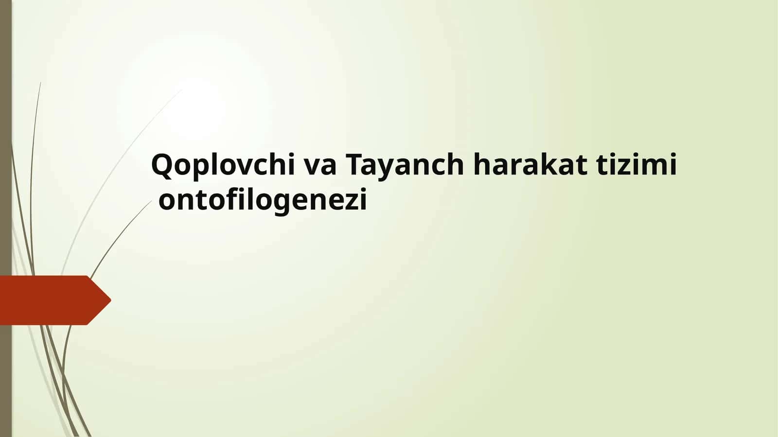 QoplovchivaTayanchharakattizimiontofilogenezi