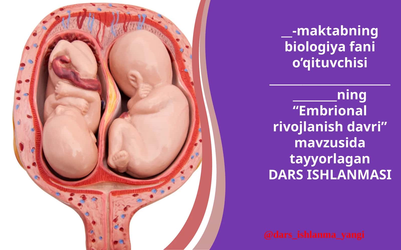 “Embrional rivojlanish davri” mavzusi dars ishlanmasi