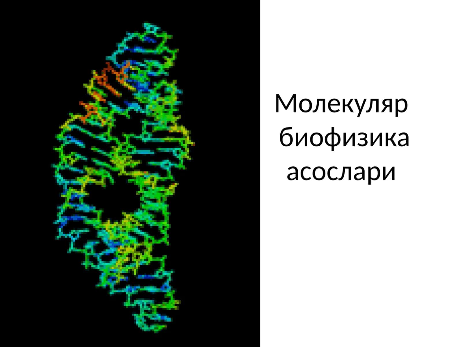 Молекуляр биофизика асослари
