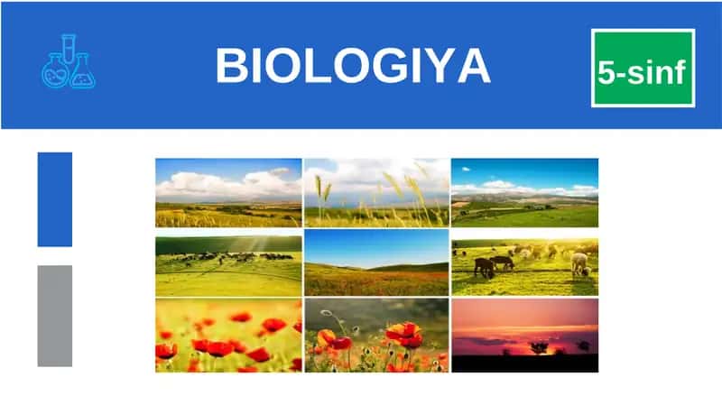 BIOLOGIYA 5-sinf MUSTAHKAMLASH