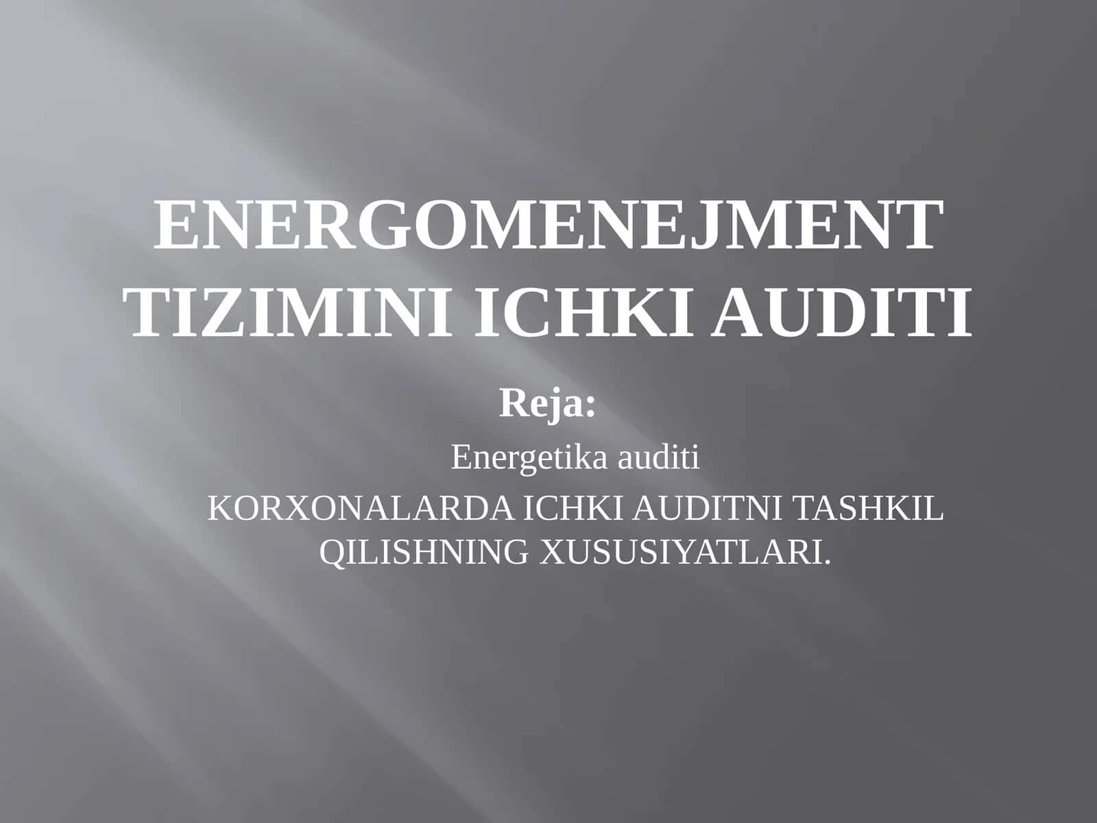 Energomenejment tizimini ichki auditi