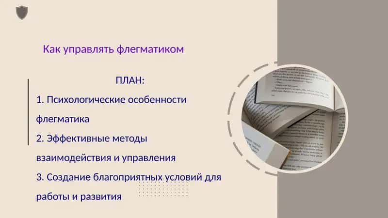 Как управлять флегматиком