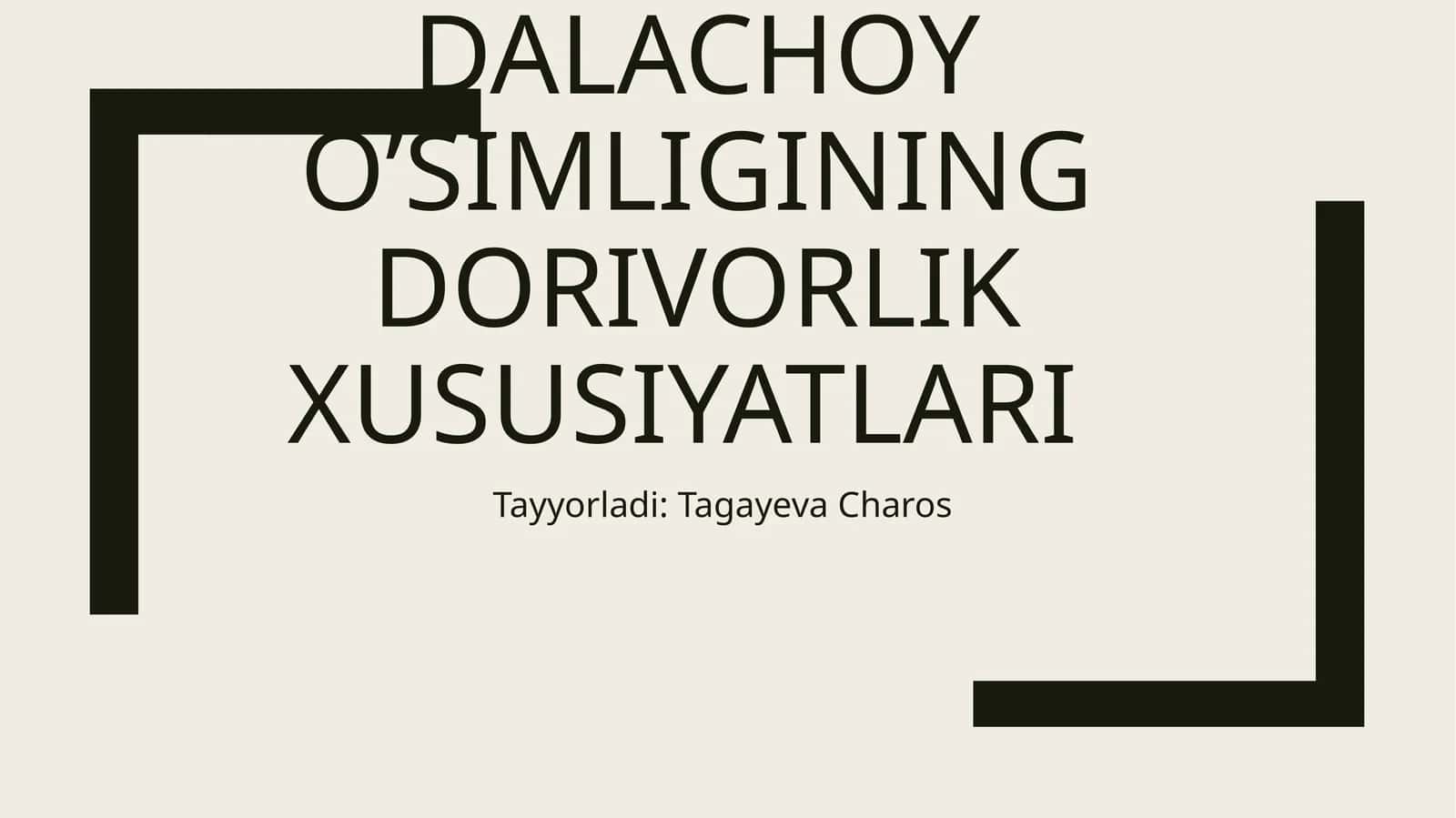 Dalachoyning o’simligining dorivorlik xususiyatlari